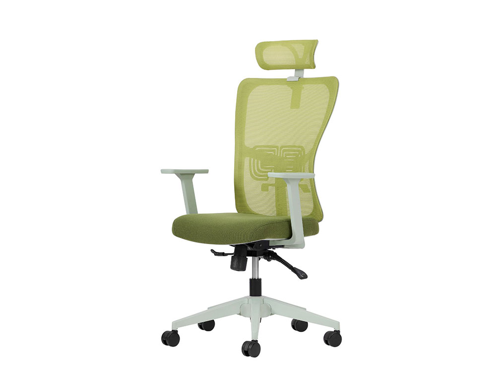 LUM-1 LUMBAR YÖNETİCİ KOLTUĞU - Görsel 1