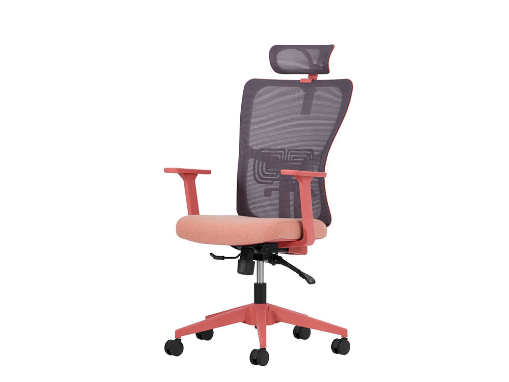 LUMB-1 LUMBAR YÖNETİCİ KOLTUĞU - Görsel 1
